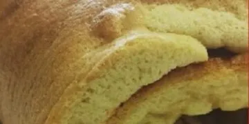 Base para Tronco de Natal sem Gluten